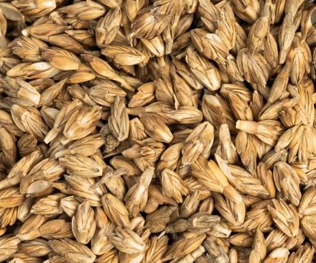 Afbeelding van Spelt heel - 25 kg